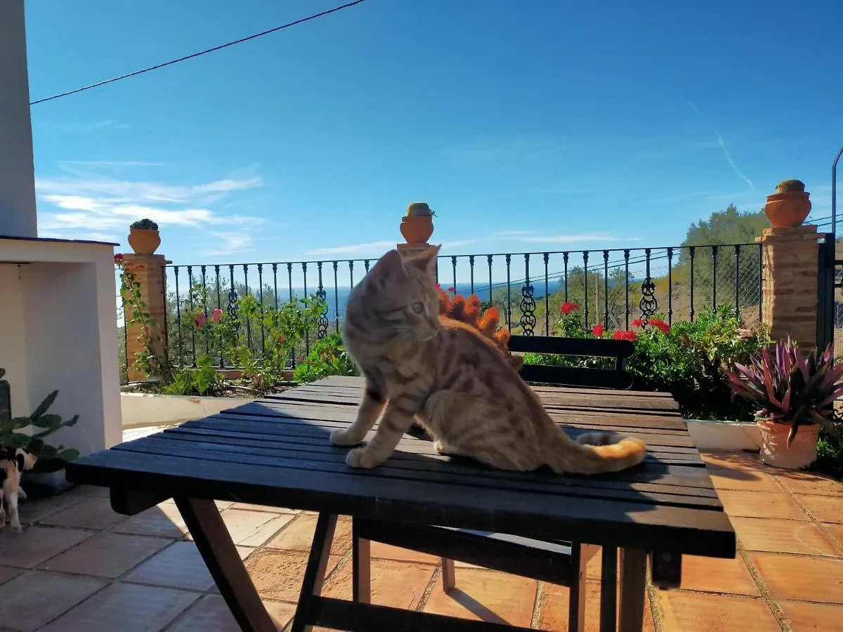 Prázdninový dům Paraje El Pozo Màlaga