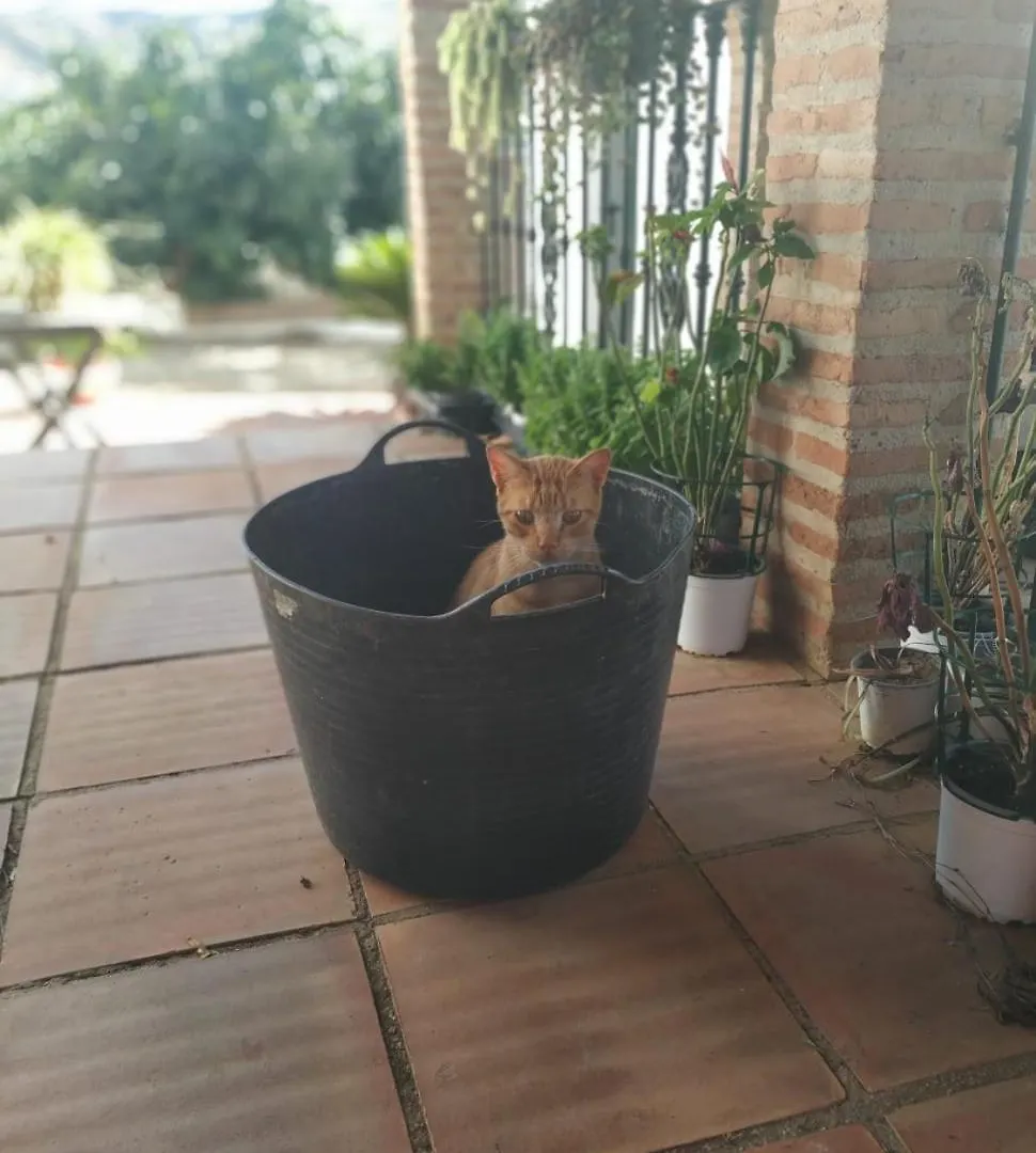 Paraje El Pozo Màlaga Španělsko